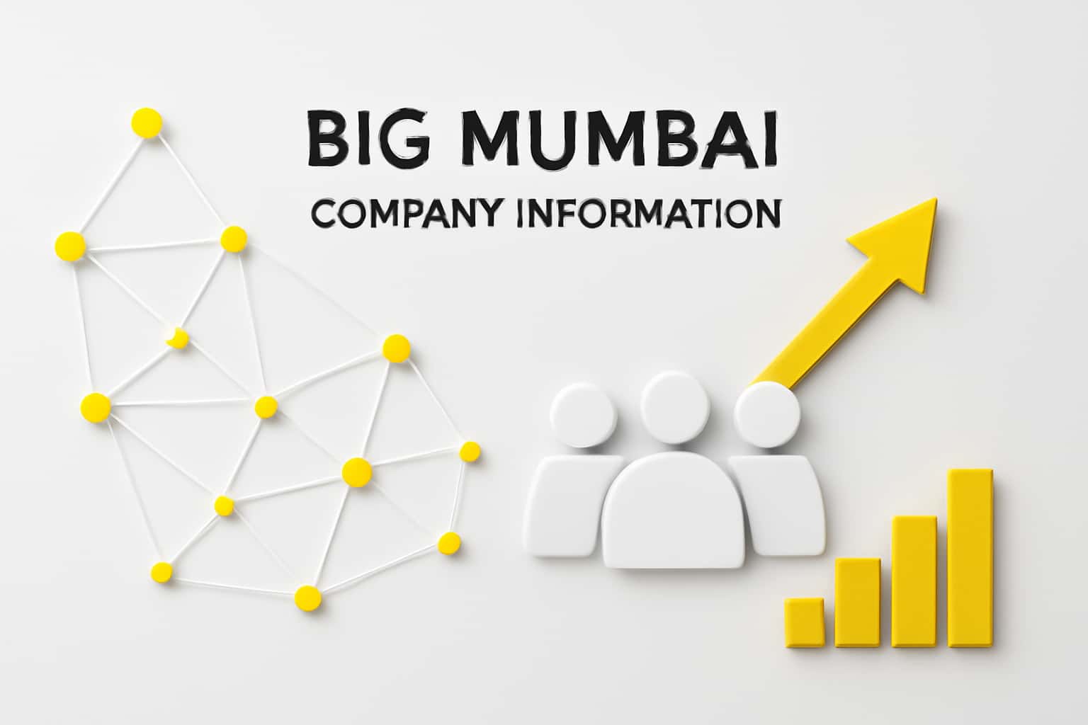 Big mumbai Company Information Interface